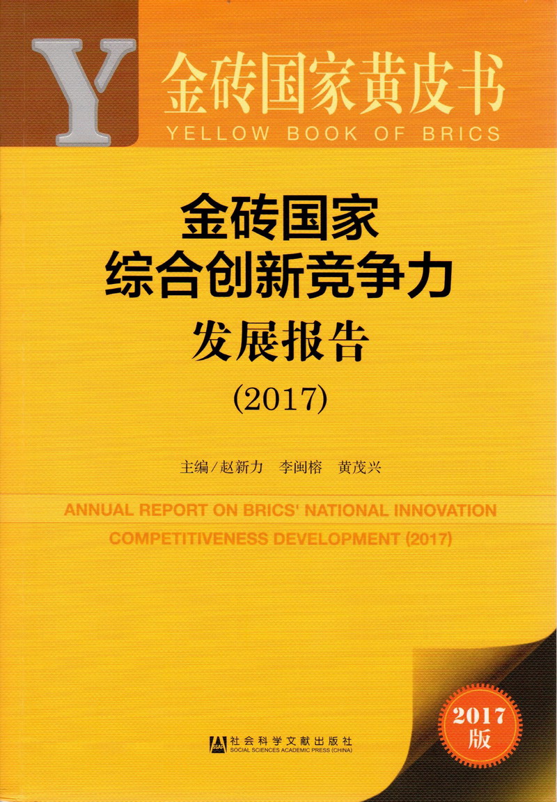 操我骚逼视频网站金砖国家综合创新竞争力发展报告（2017）